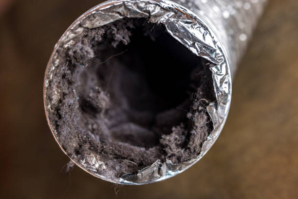 Best Affordable HVAC Duct Cleaning  in Jackson, MN