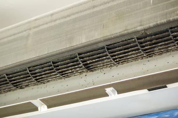 Best Affordable Air Duct Cleaning  in Jackson, MN