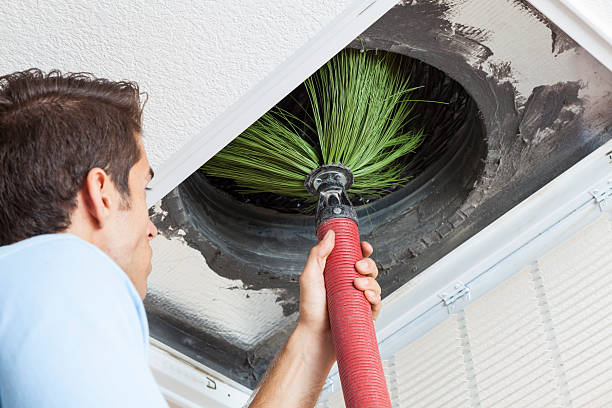 Best Ductwork Cleaning Services  in Jackson, MN