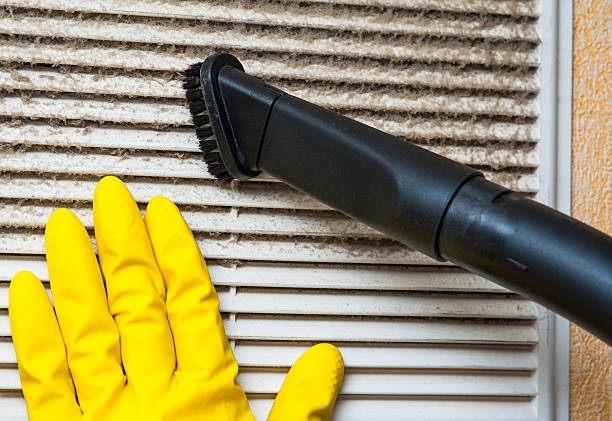 Best Air Duct Cleaning Near Me  in Jackson, MN